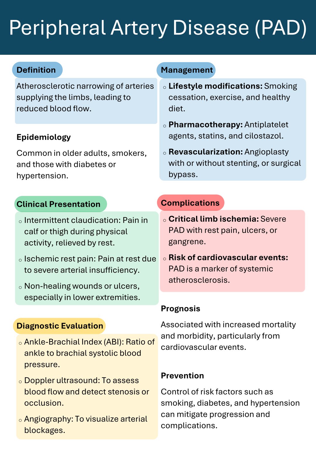 Cycle cardiaque
